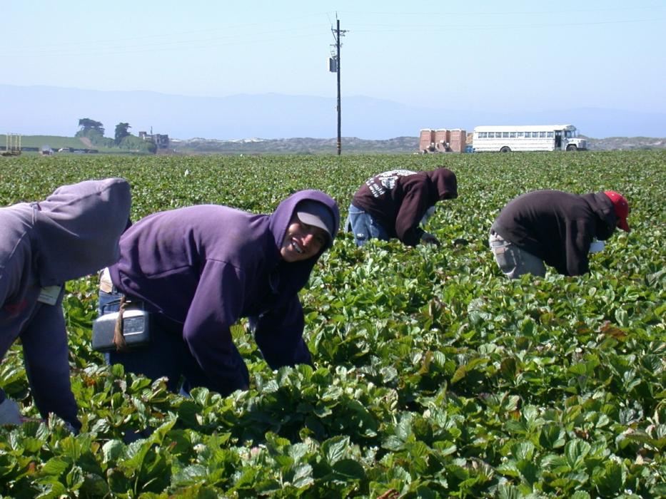 farm workers