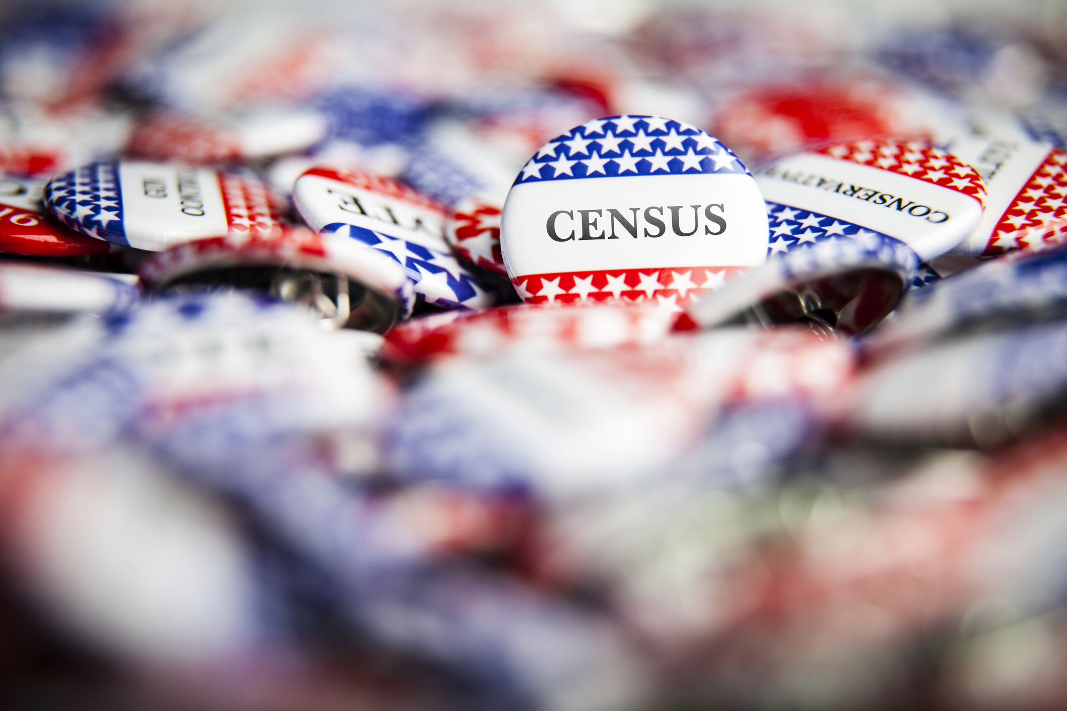 Political Button - Census