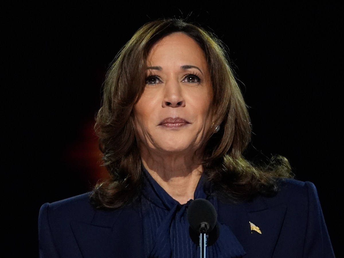 Kamala Harris’s Policy Agenda Kneecapped Her Chances